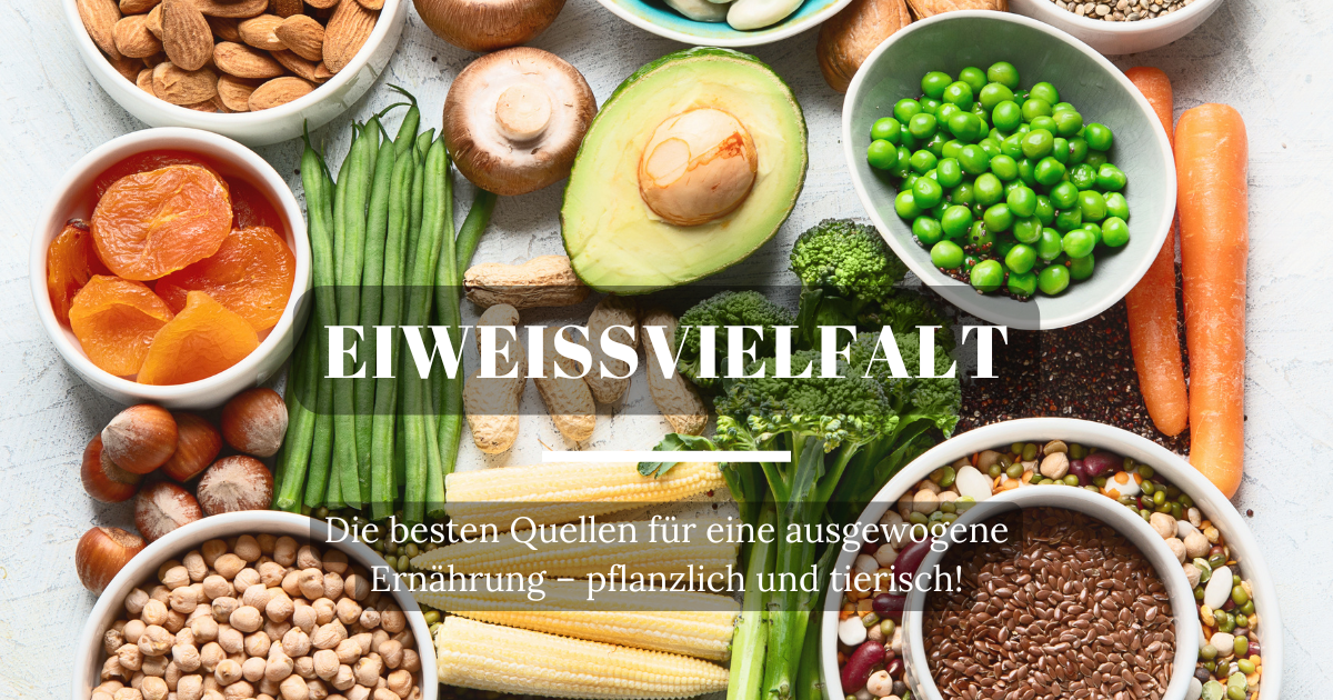 Verschiedene pflanzliche Eiweißquellen, wie Avocade, Nüsse, Champignons, Erbsen und Samen, die einen wichtigen Beitrag zu einer gesunden Ernährung leisten.