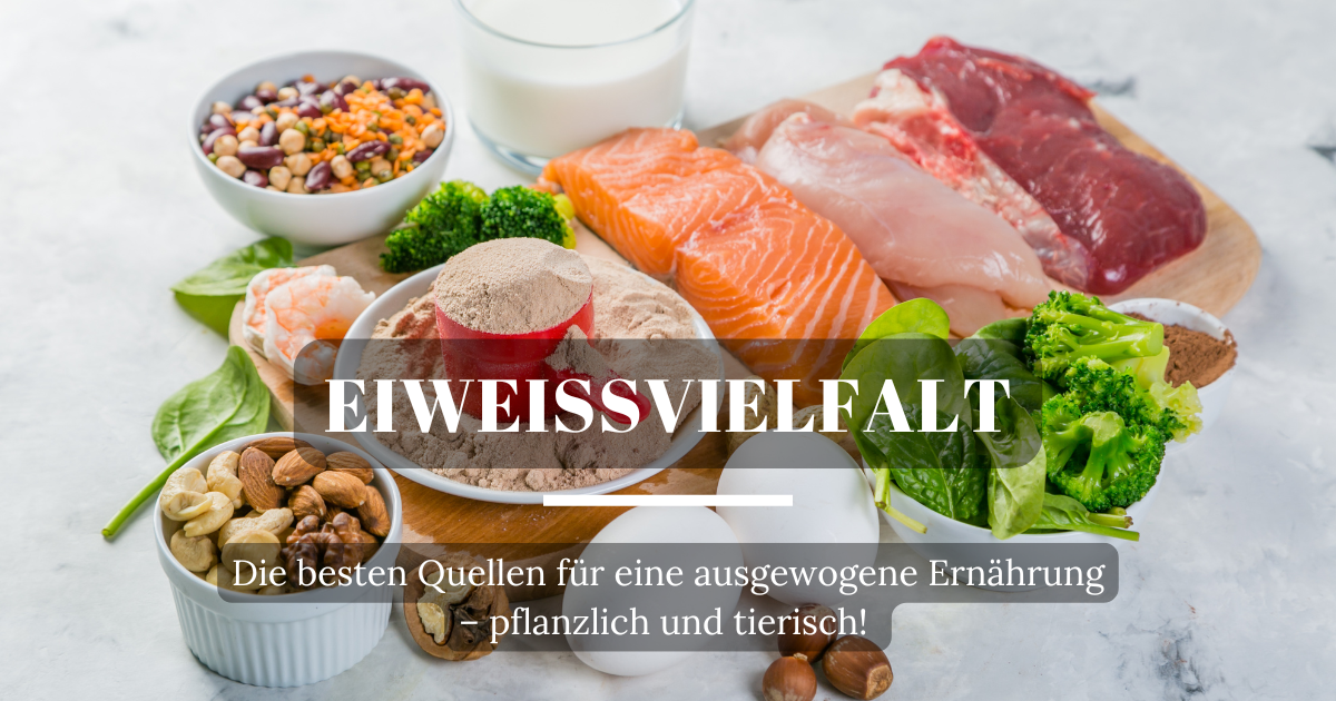 Verschiedene Eiweißquellen, wie Lachs, Eier, Scampi, Käse und Fleisch, die einen wichtigen Beitrag zu einer gesunden Ernährung leisten.